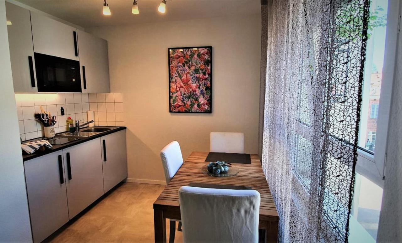 Deluxe Apartment Flamingo In Paradise Friburgo de Brisgovia Exterior foto